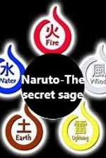 Naruto- Secret Sage